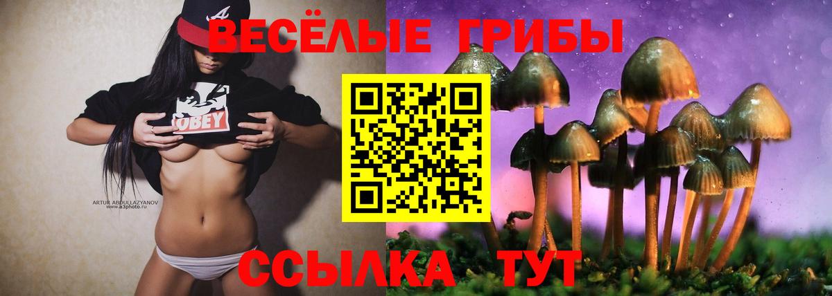Галлюциногенные грибы прущие грибы Изобильный
